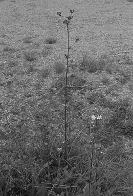 Image 9 of 9