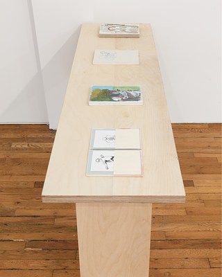 Image 15 of 21