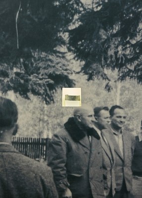 Image 7 of 29