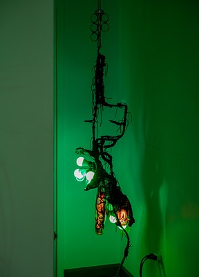 Image 10 of 30