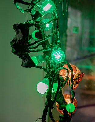 Image 13 of 30