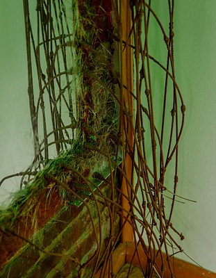 Image 25 of 30