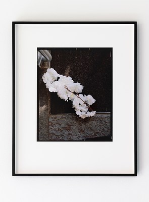 Image 20 of 39