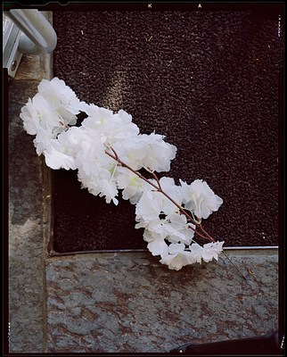 Image 29 of 39