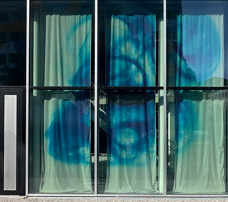 Image 24 of 39
