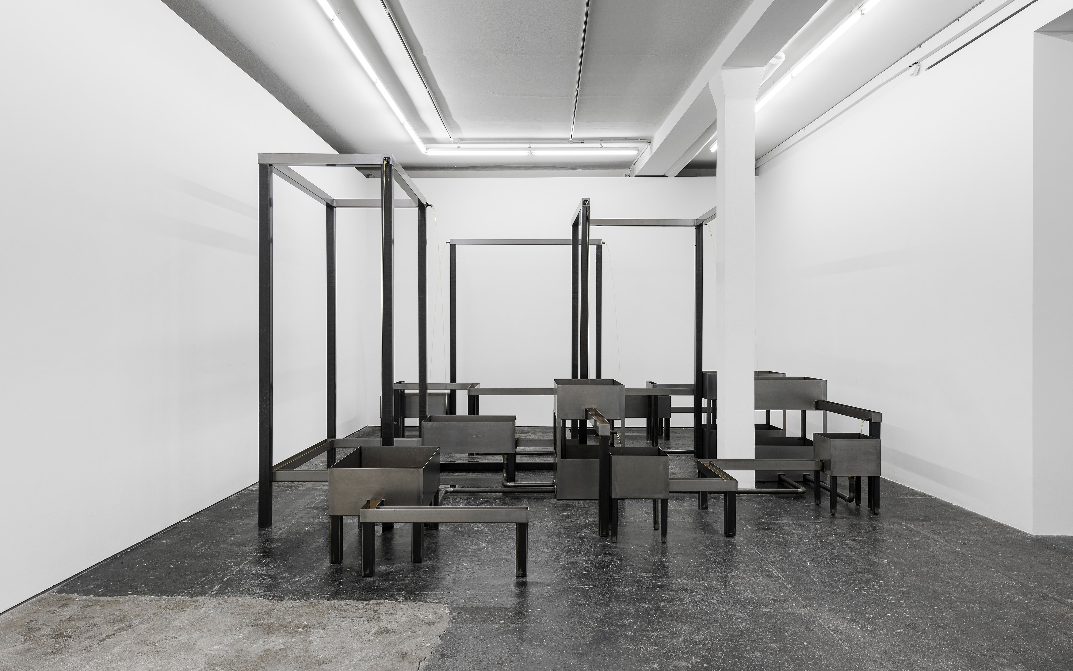 Belu-Simion Făinaru, Hold Infinity in the palm of your hand And Eternity in an hour at Galeria Plan B, photo 3