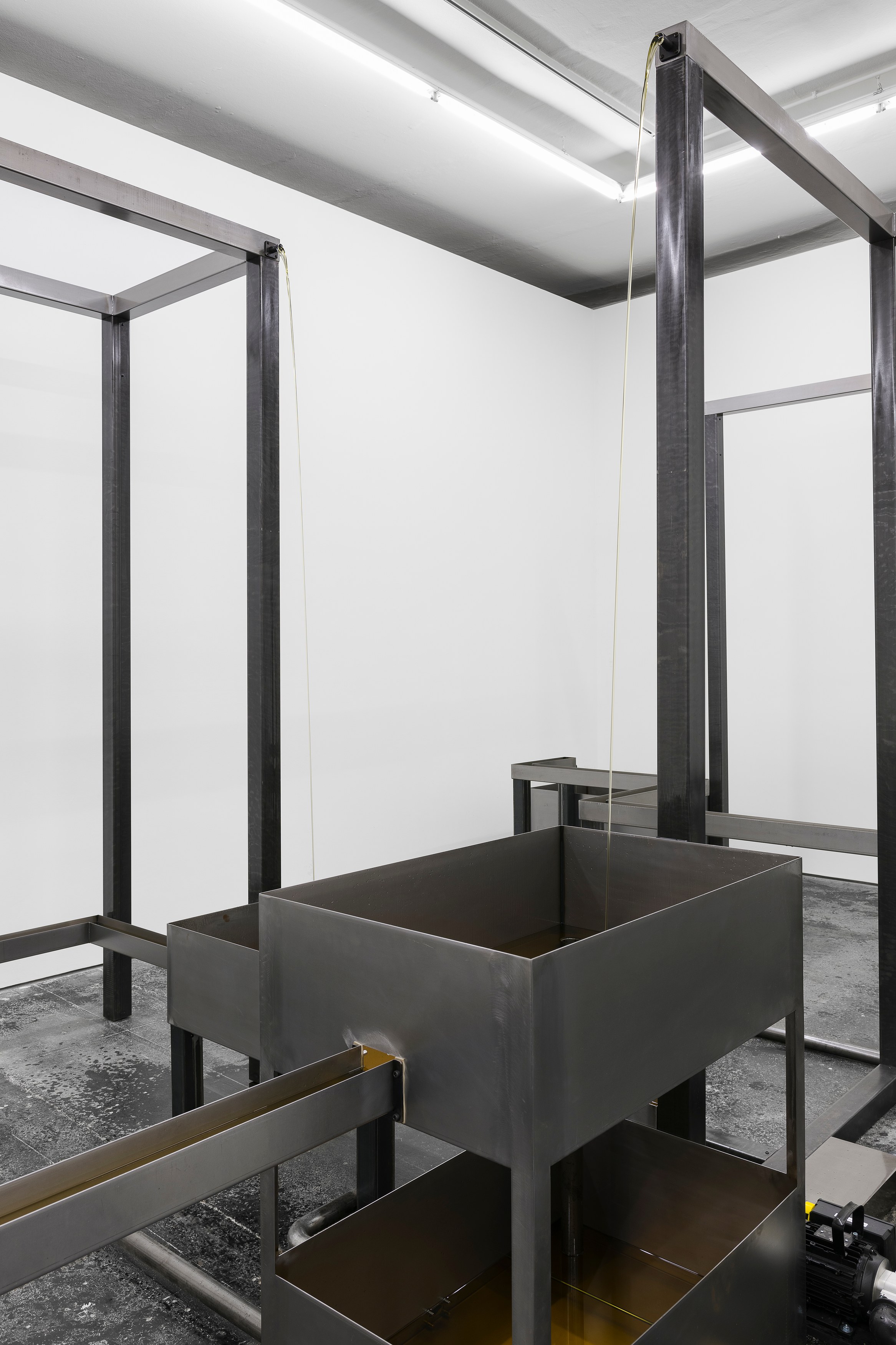 Belu-Simion Făinaru, Hold Infinity in the palm of your hand And Eternity in an hour at Galeria Plan B, photo 6