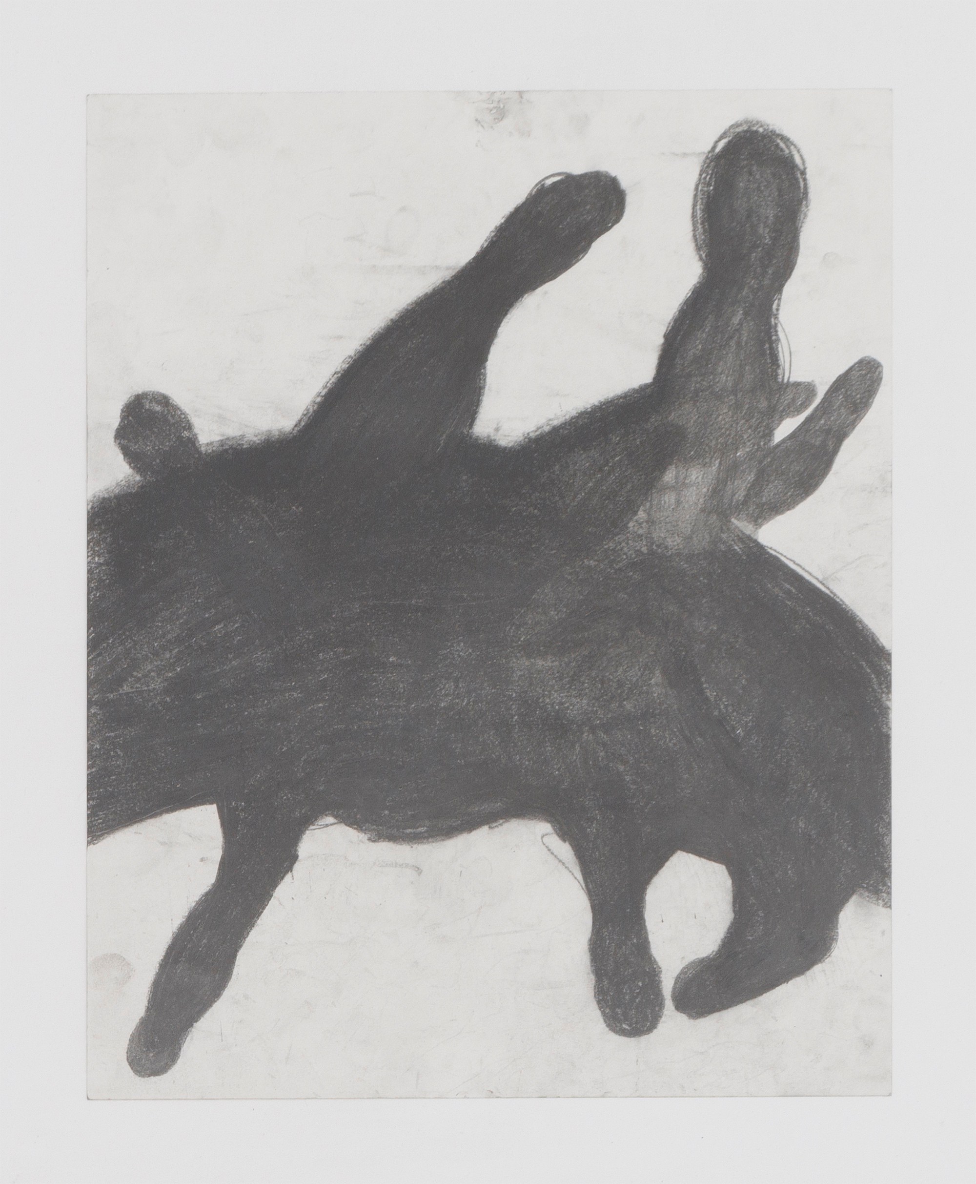 Kaveri Raina, Image as a Burden, Death as a Womb at Chapter NY, photo 38