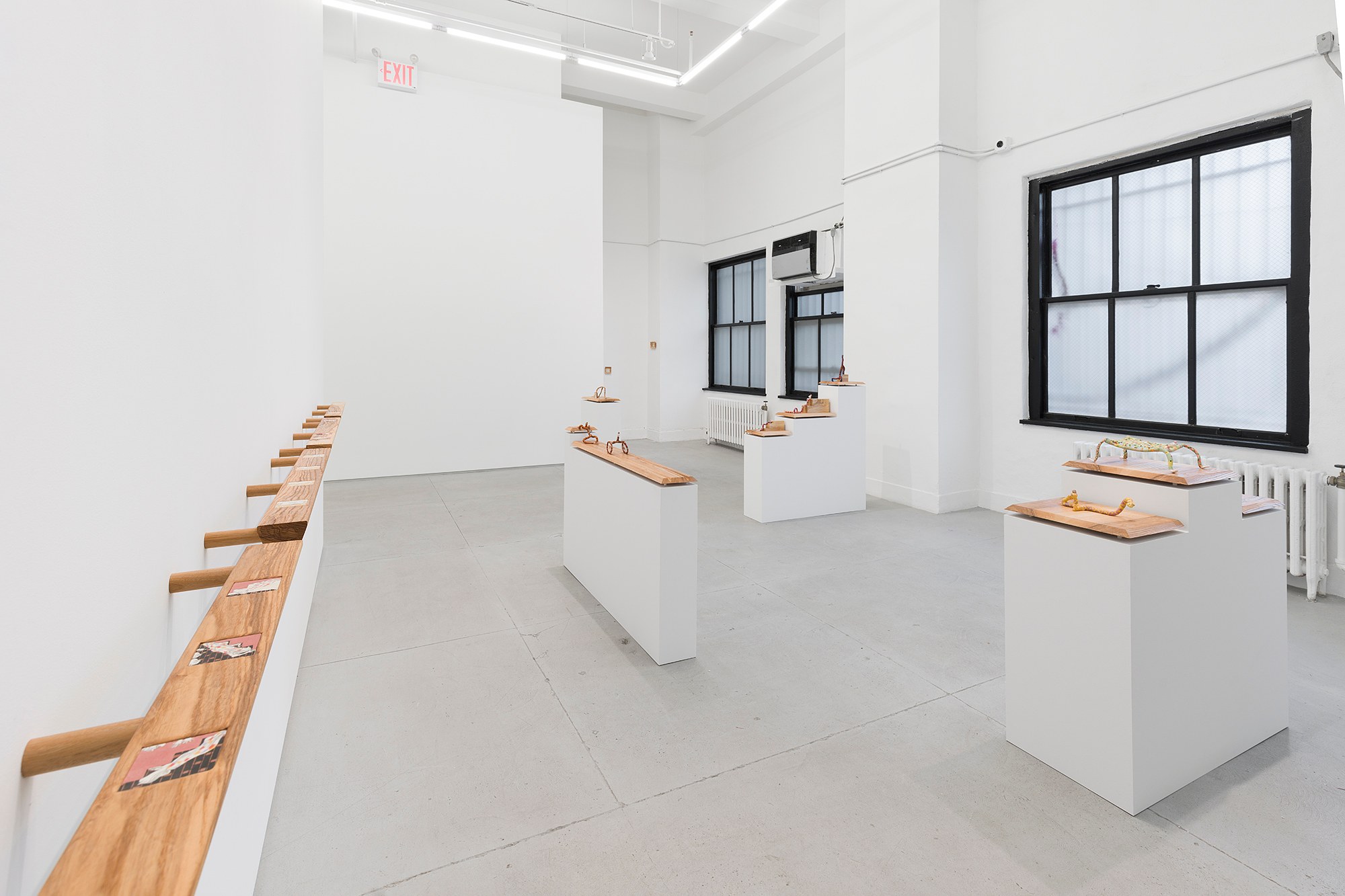 Installation view 6