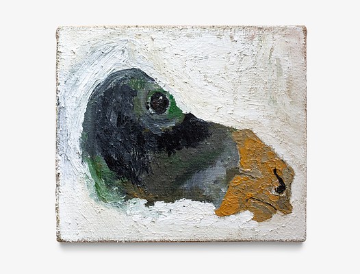 Image 19 of 24