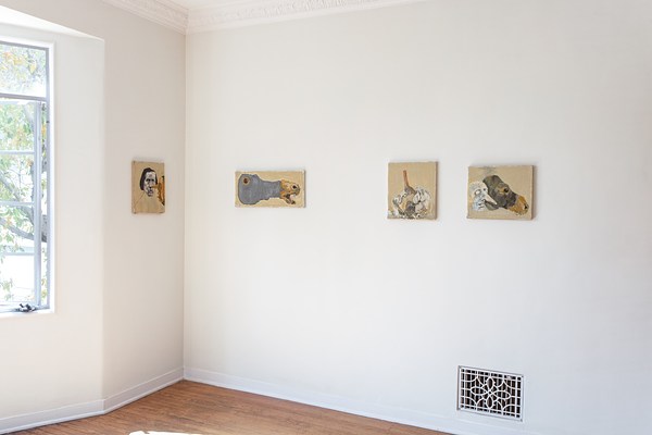 Image 2 of 24