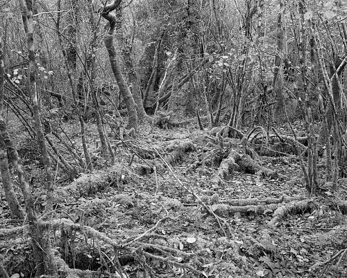 Image 30 of 40