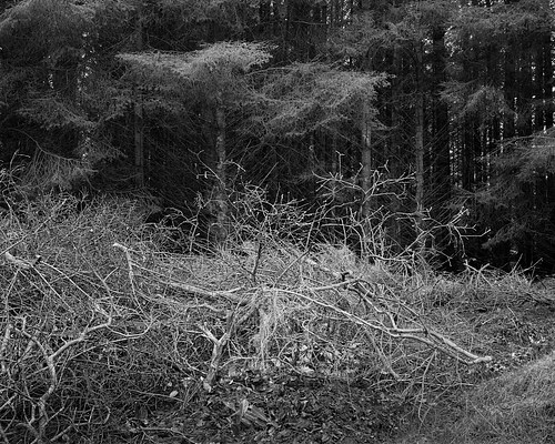 Image 32 of 40