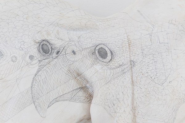 Image 19 of 23