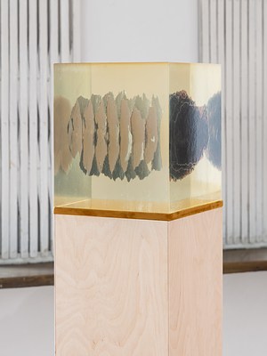 Image 4 of 17