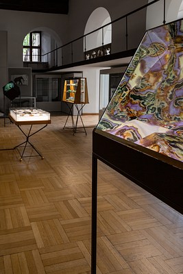 Image 7 of 17