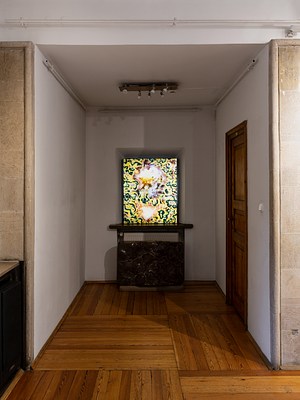 Image 12 of 17