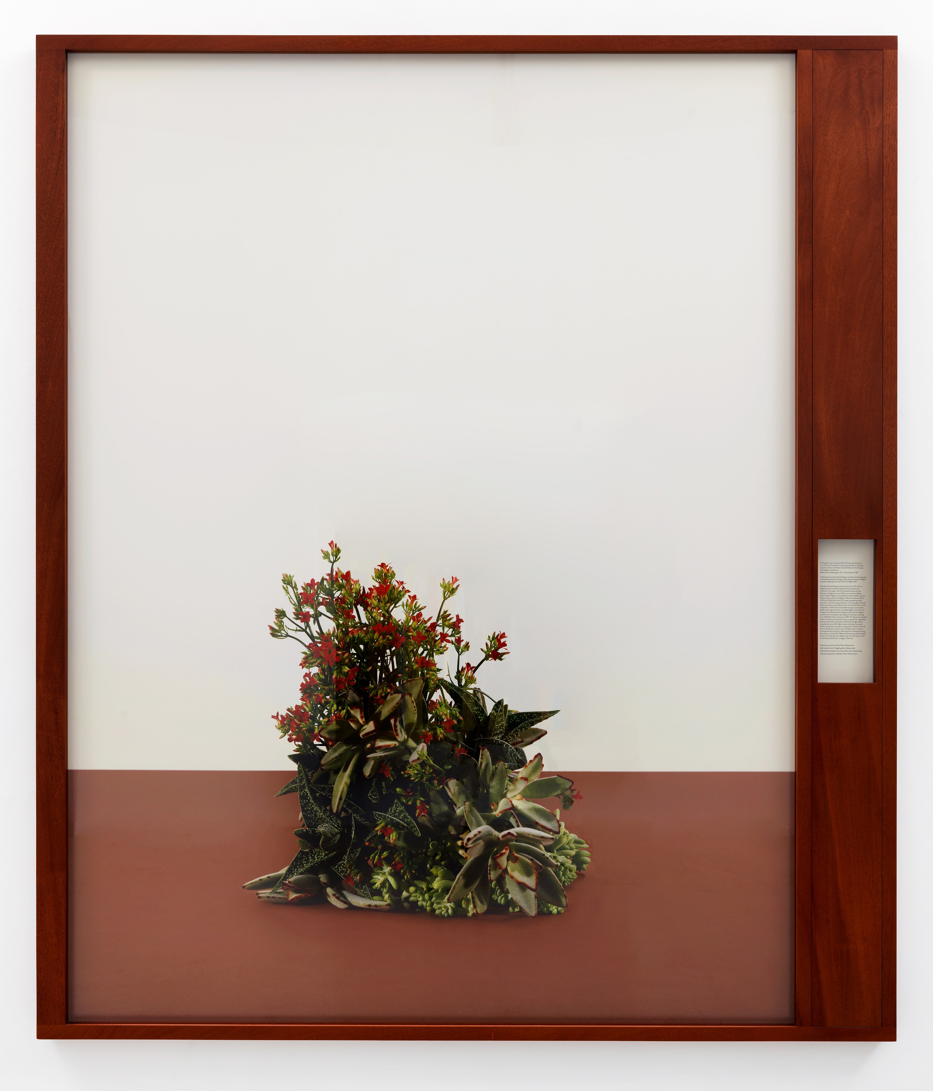 Alvaro Barrington, Garvey 2: The Reup at Corvi-Mora, photo 55
