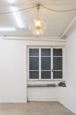 Image 2 of 13