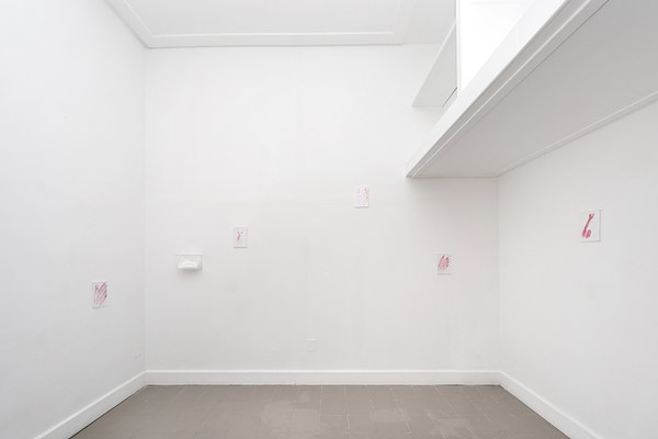 Image 8 of 20