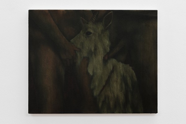 Image 24 of 24