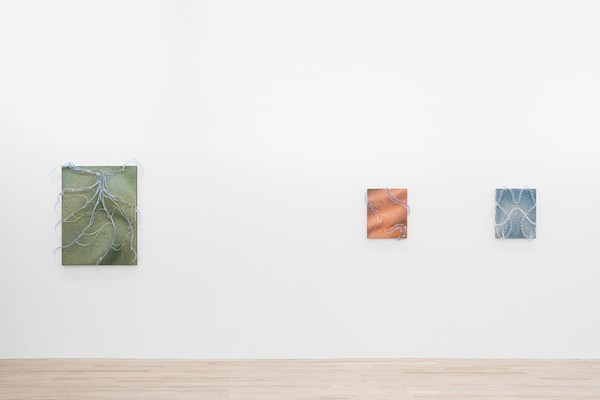 Image 1 of 46