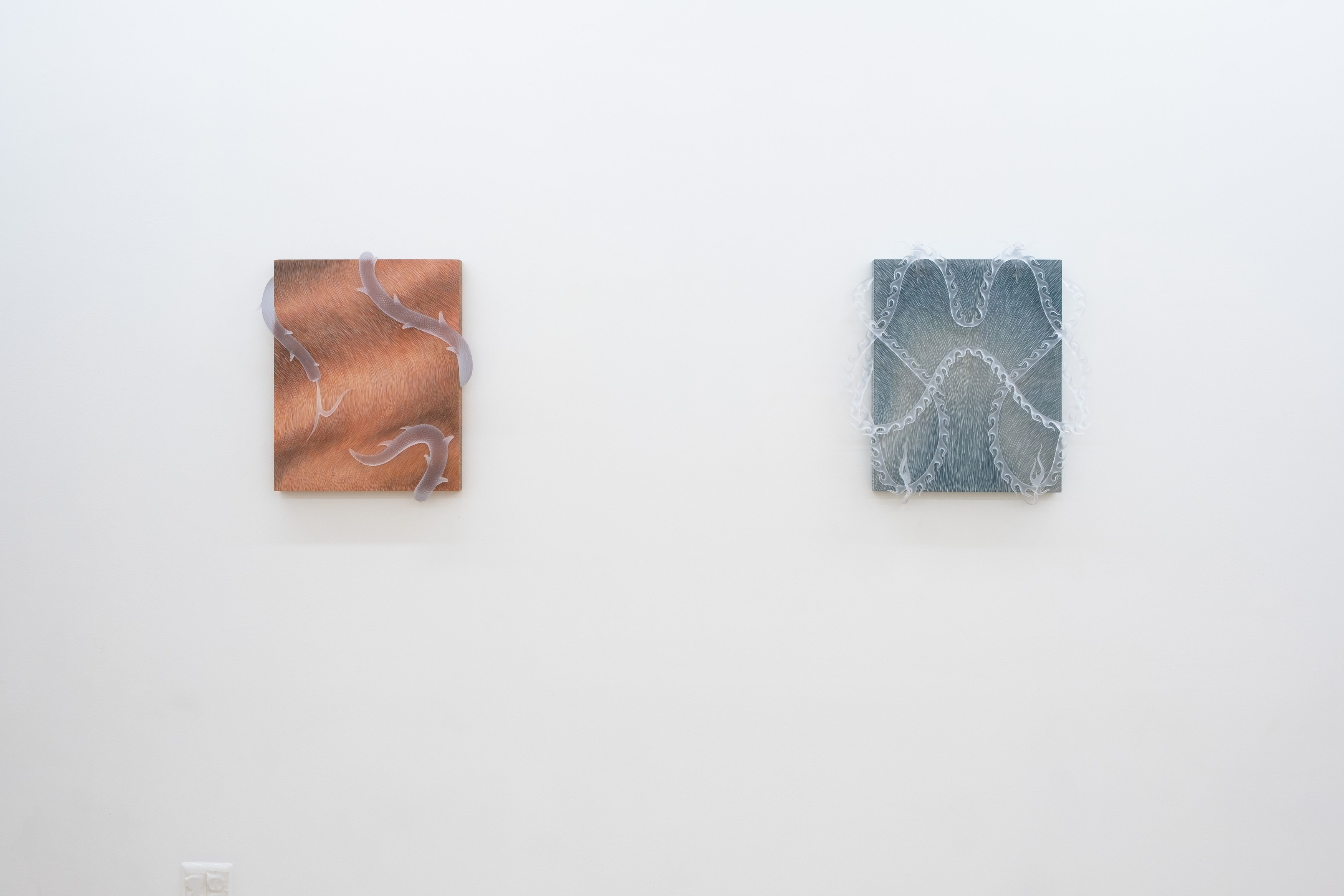 Installation view 2