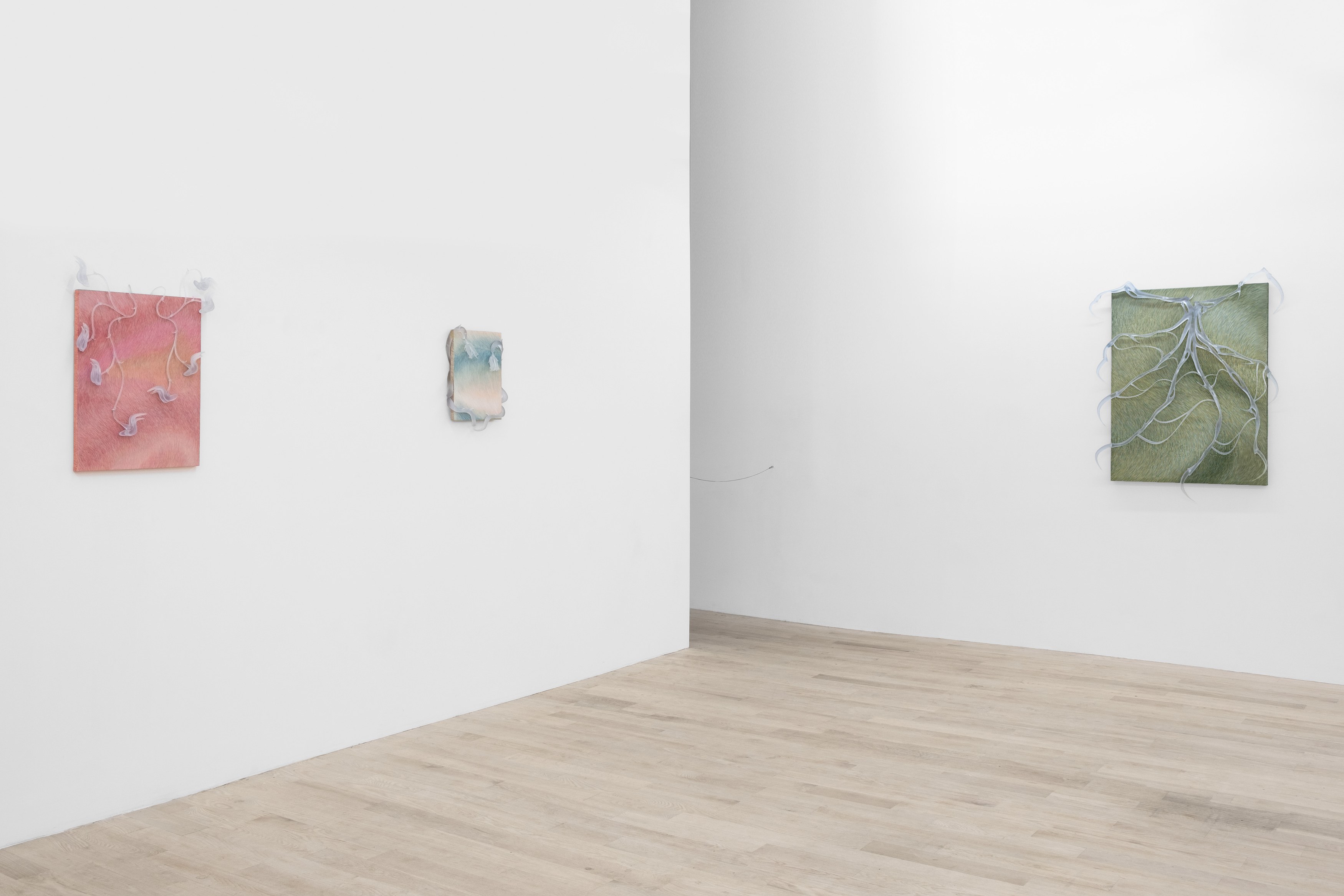 Installation view 4