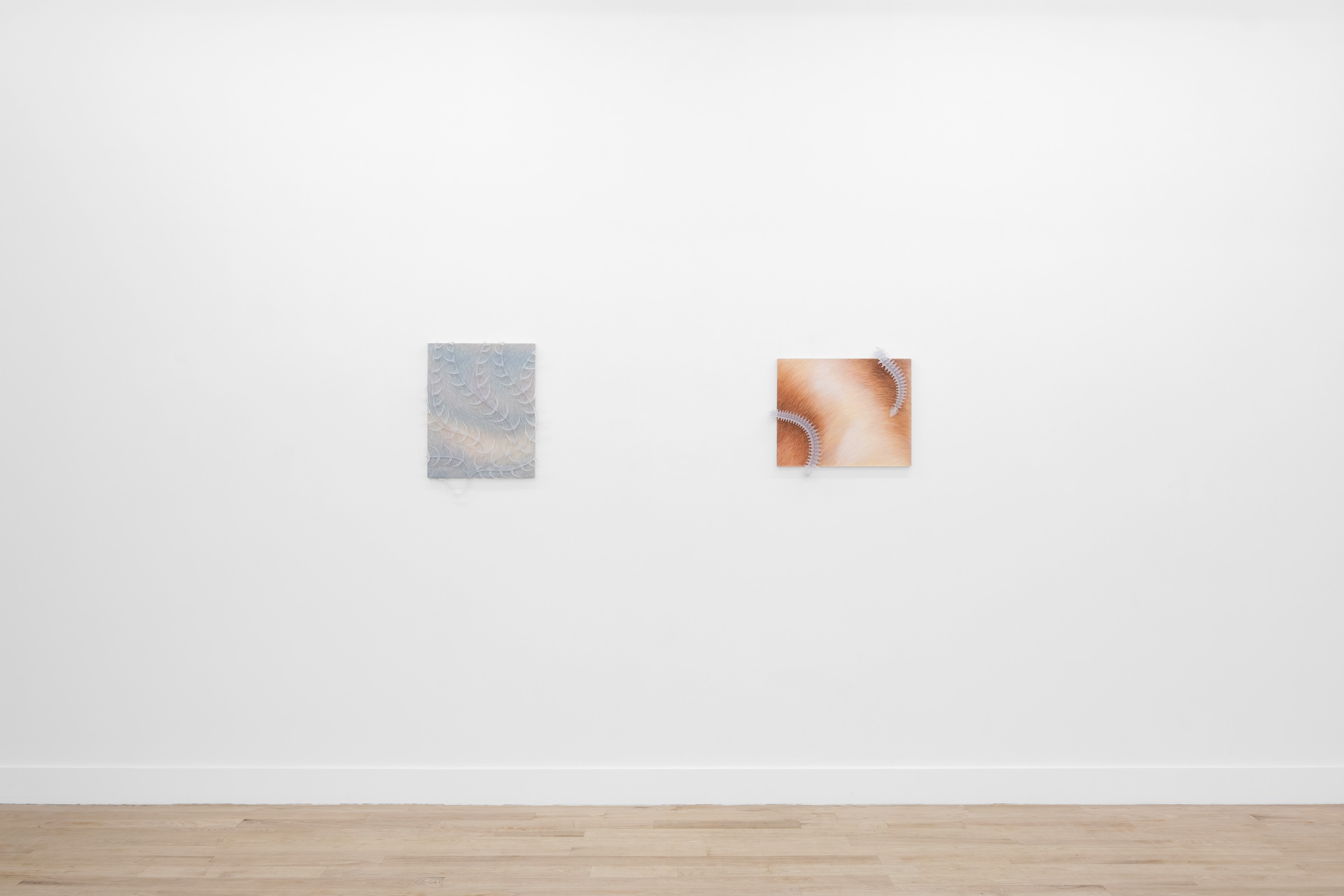 Installation view 5
