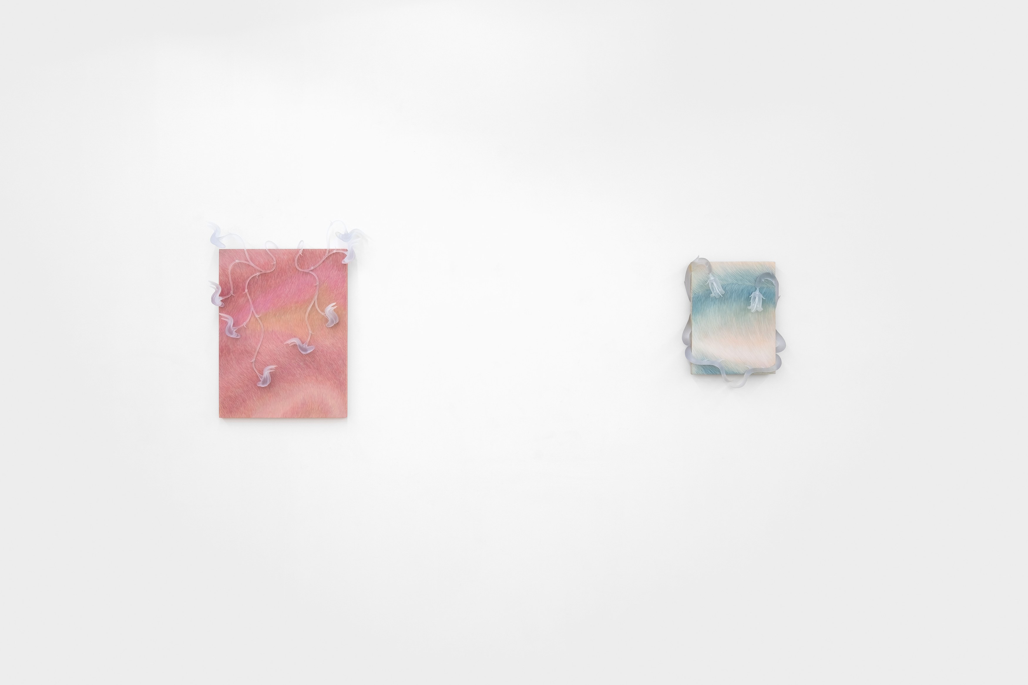 Installation view 7