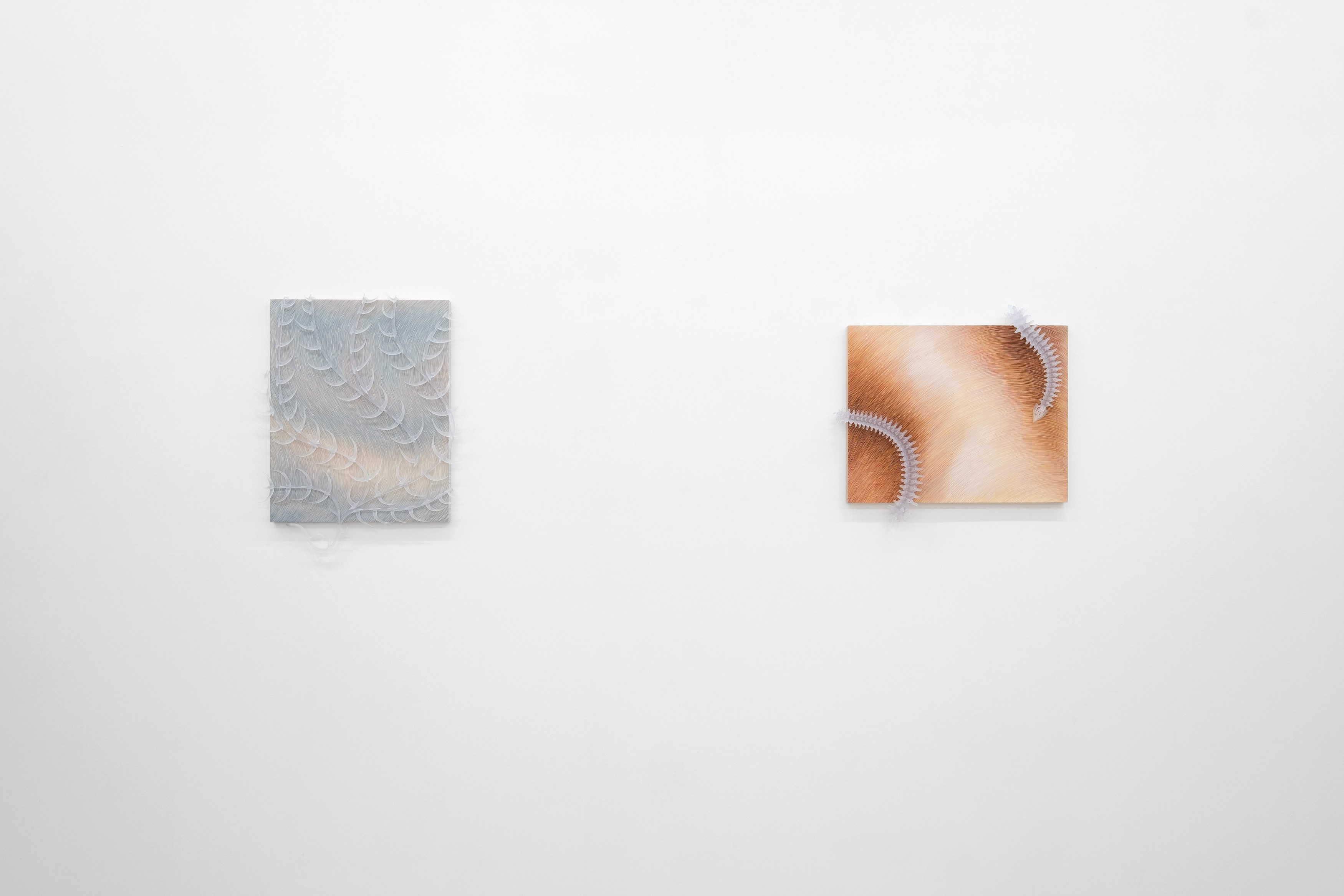 Installation view 6