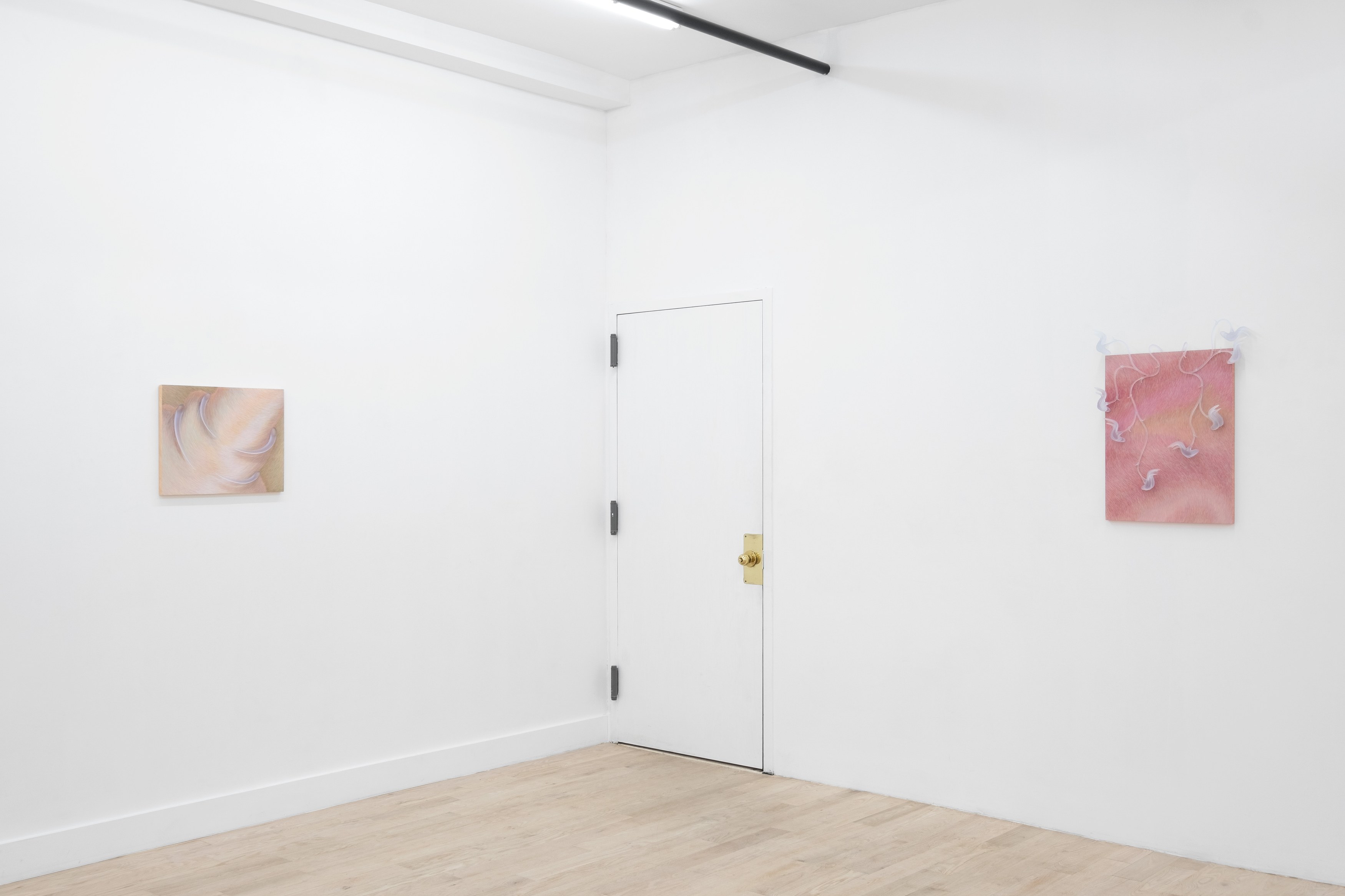 Installation view 9