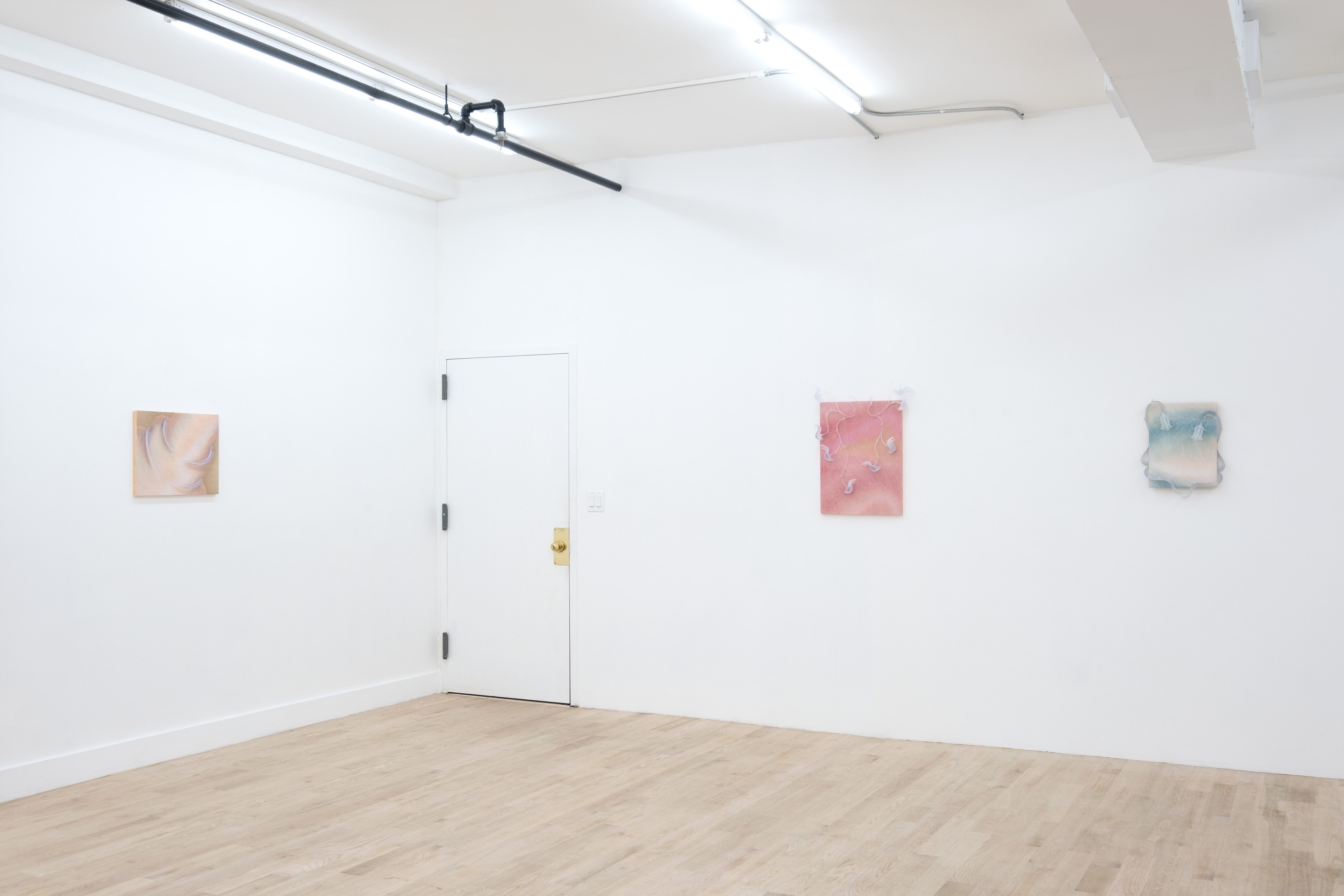 Installation view 10
