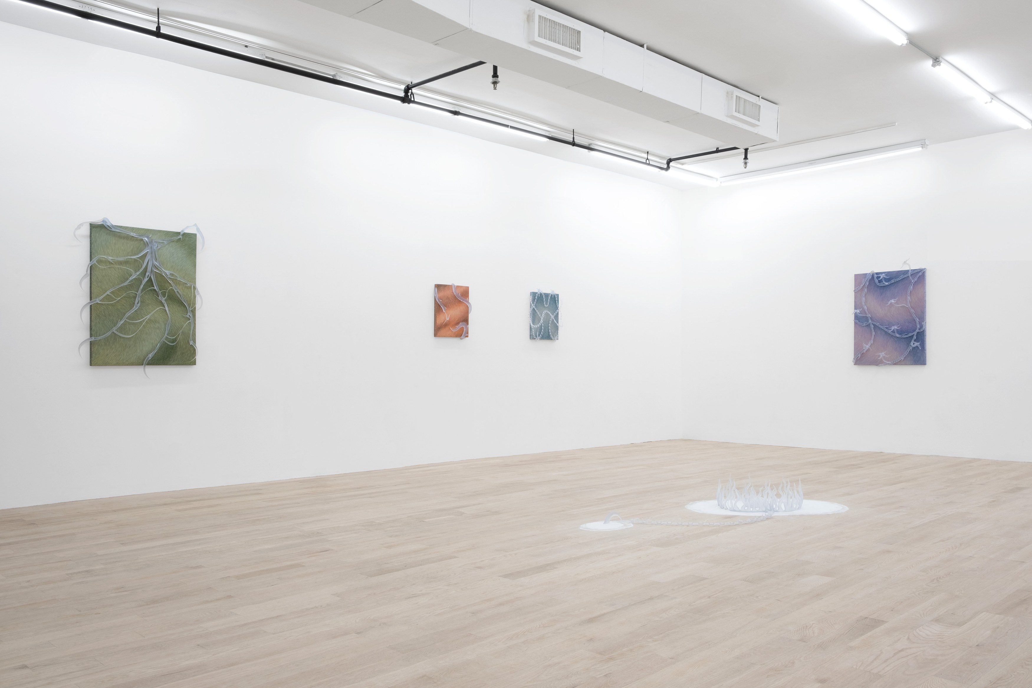 Installation view 11