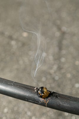 Image 11 of 12