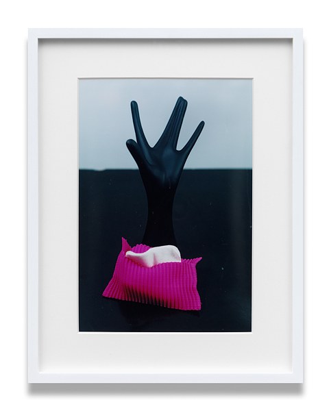 Josephine Pryde, Therapie Thank You Thank You at MD 72, photo 12