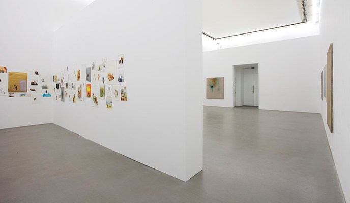 Image 6 of 13