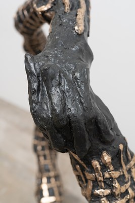 Image 12 of 25