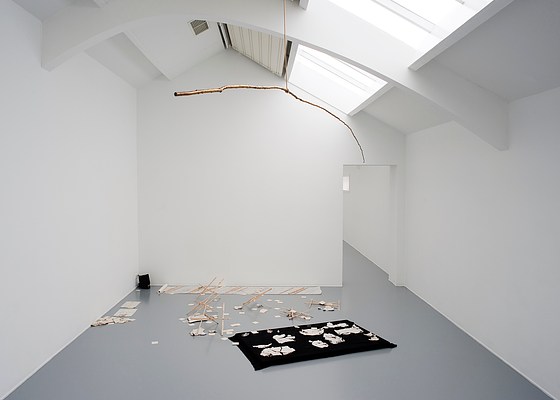 Image 1 of 22