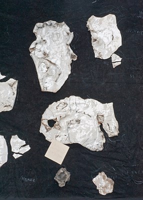 Image 22 of 22