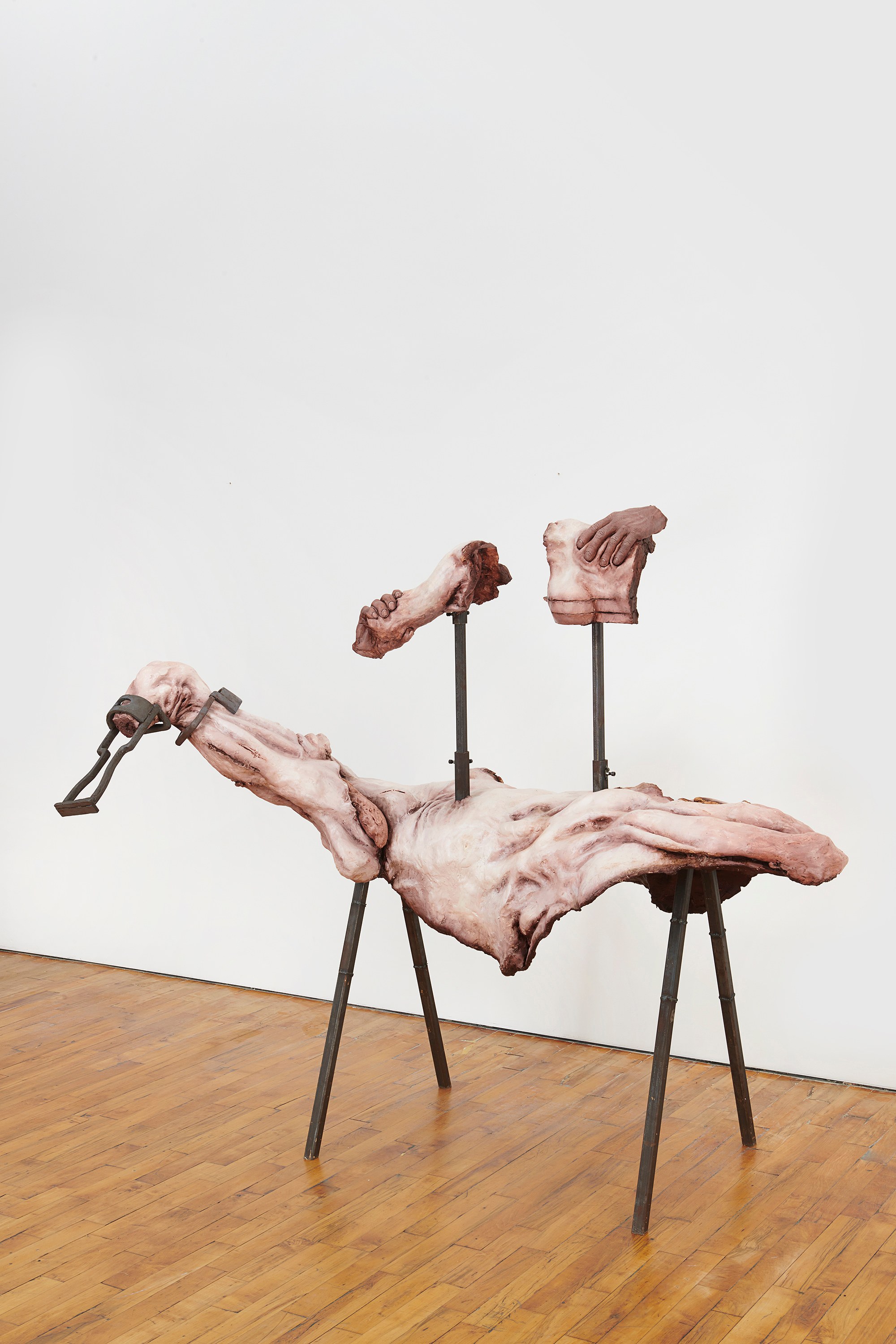 Darja Bajagić, Lionel Maunz, Forest Passage at Tara Downs, photo 4