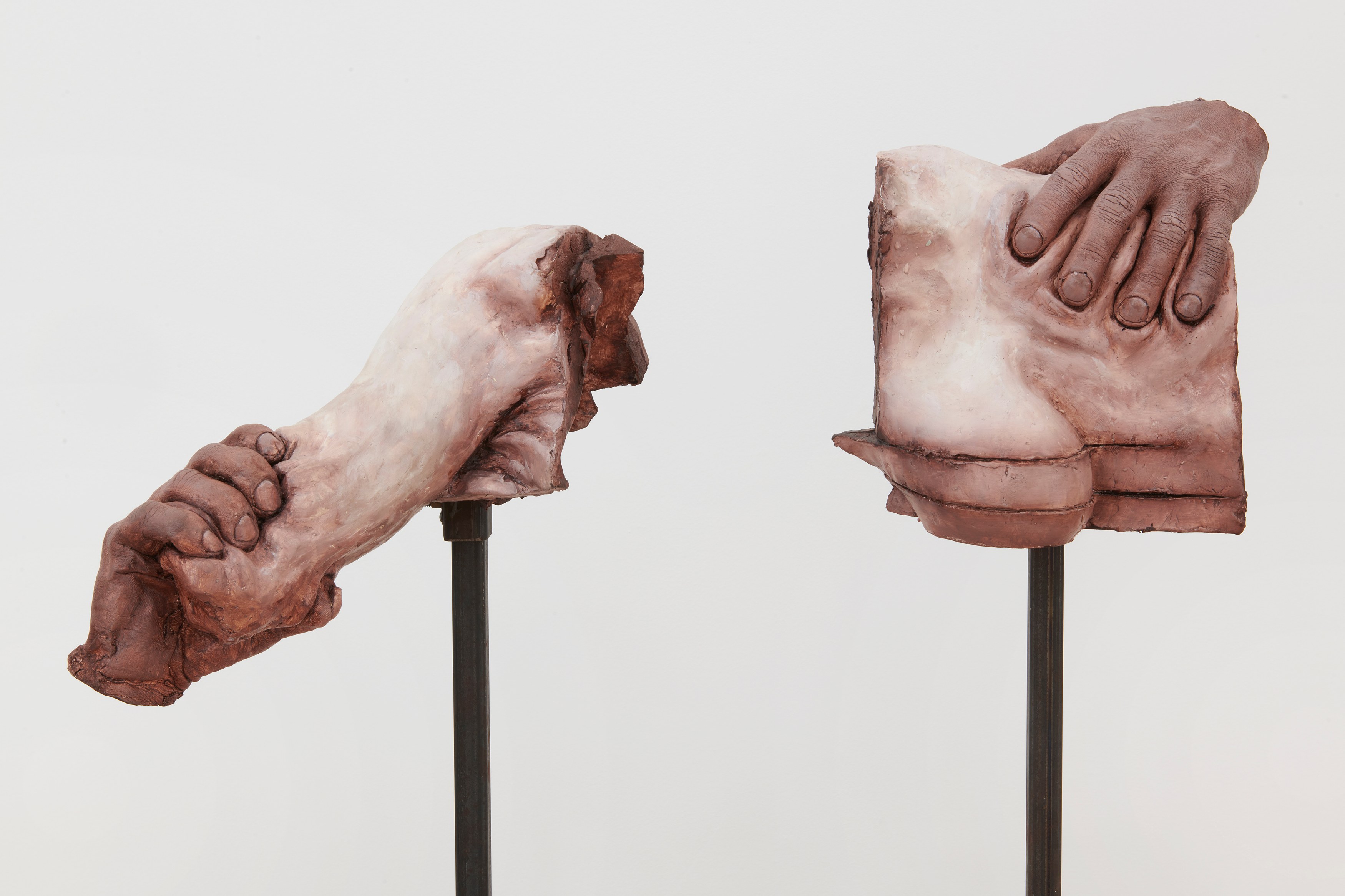 Darja Bajagić, Lionel Maunz, Forest Passage at Tara Downs, photo 5