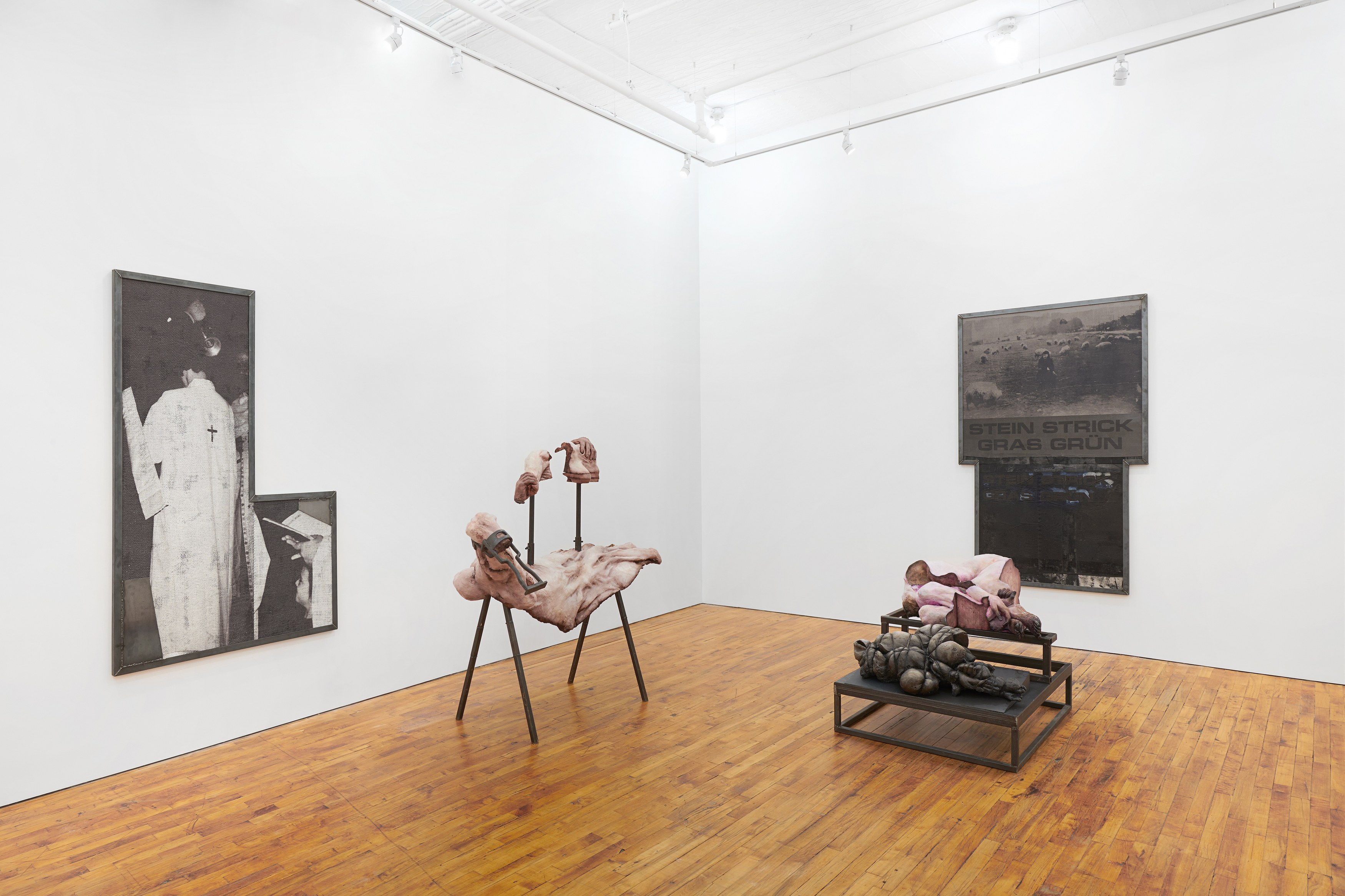 Darja Bajagić, Lionel Maunz, Forest Passage at Tara Downs, photo 7