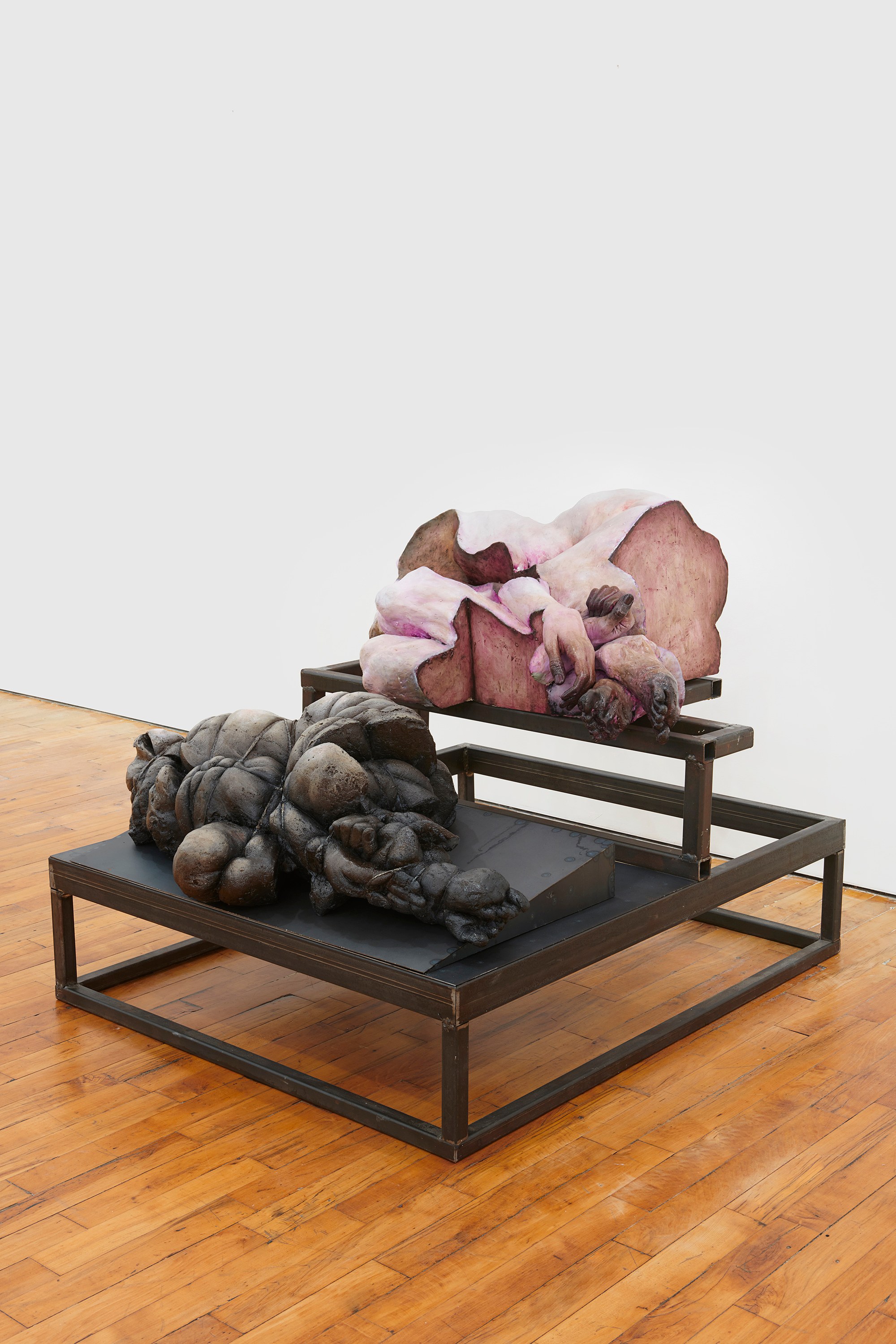 Darja Bajagić, Lionel Maunz, Forest Passage at Tara Downs, photo 10
