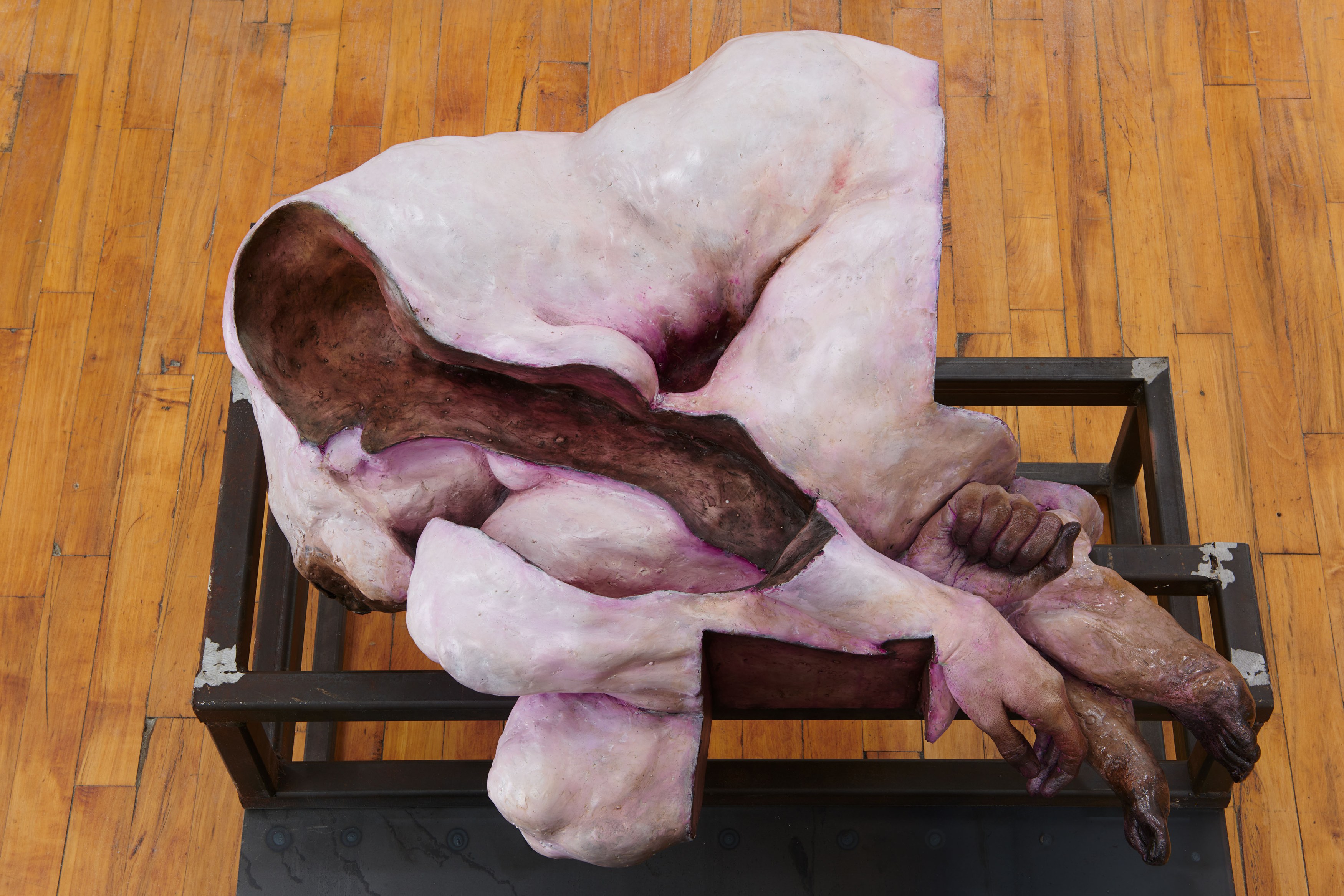 Darja Bajagić, Lionel Maunz, Forest Passage at Tara Downs, photo 11