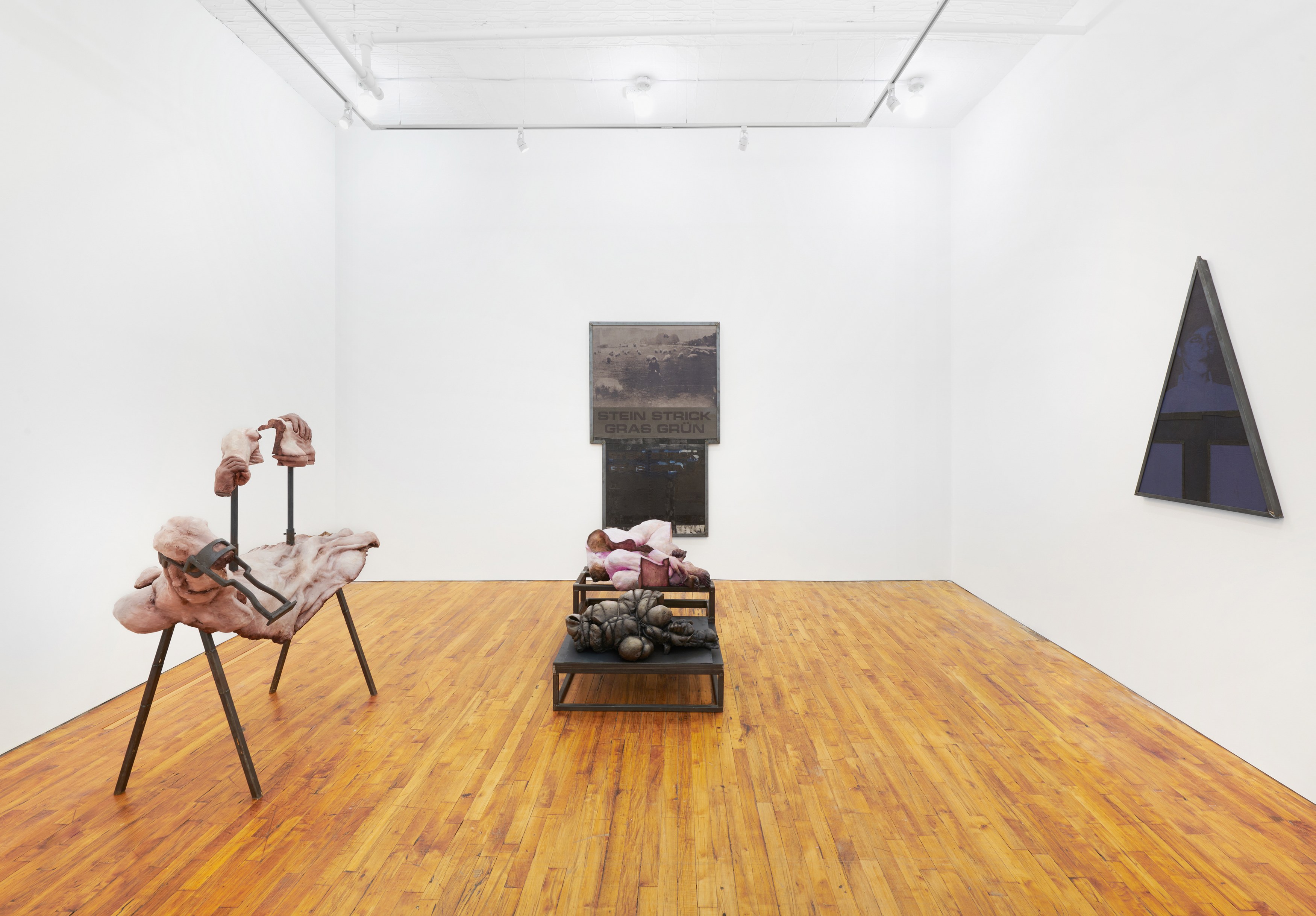 Darja Bajagić, Lionel Maunz, Forest Passage at Tara Downs, photo 13