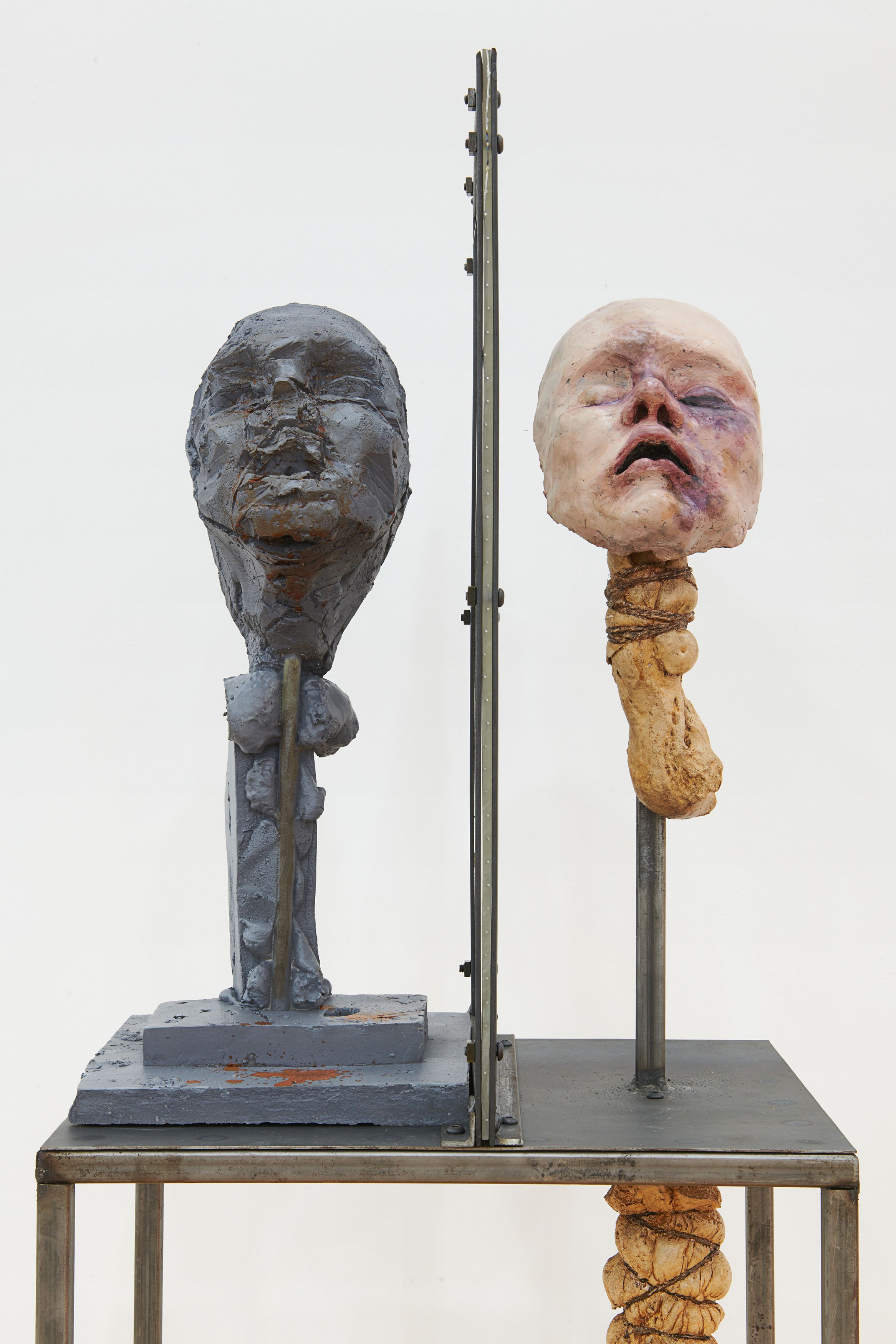 Darja Bajagić, Lionel Maunz, Forest Passage at Tara Downs, photo 17