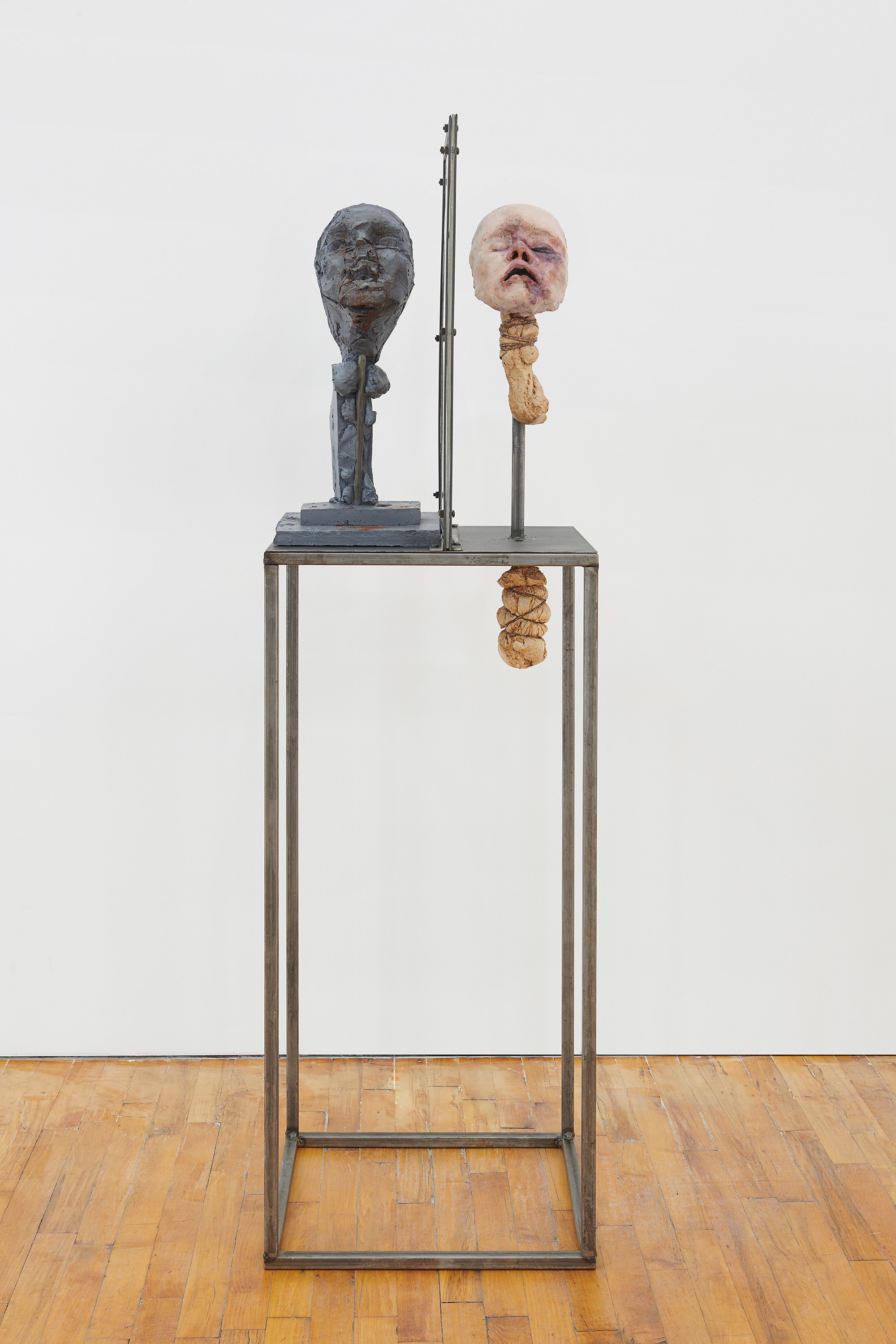 Darja Bajagić, Lionel Maunz, Forest Passage at Tara Downs, photo 16