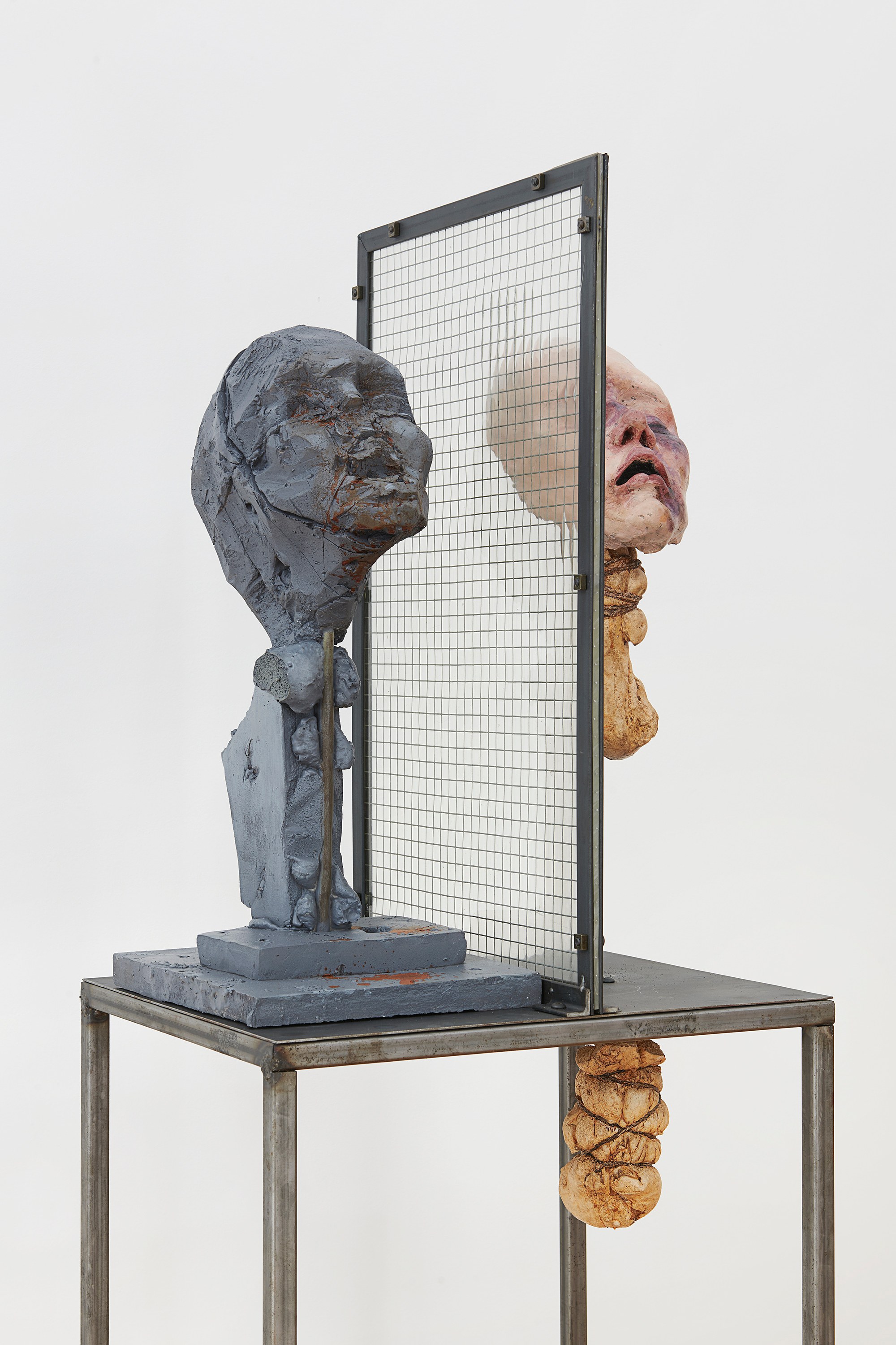 Darja Bajagić, Lionel Maunz, Forest Passage at Tara Downs, photo 18