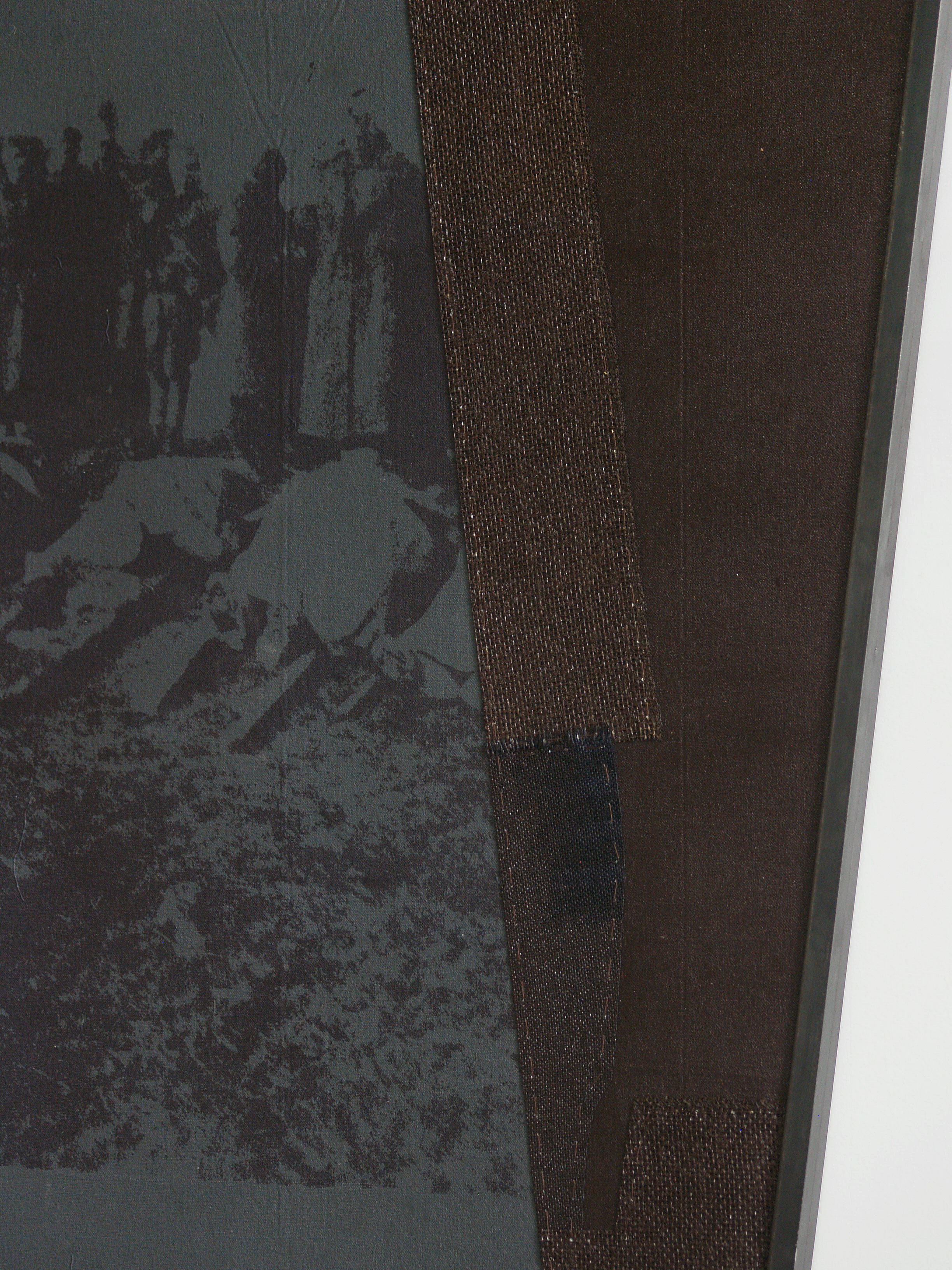 Darja Bajagić, Lionel Maunz, Forest Passage at Tara Downs, photo 20